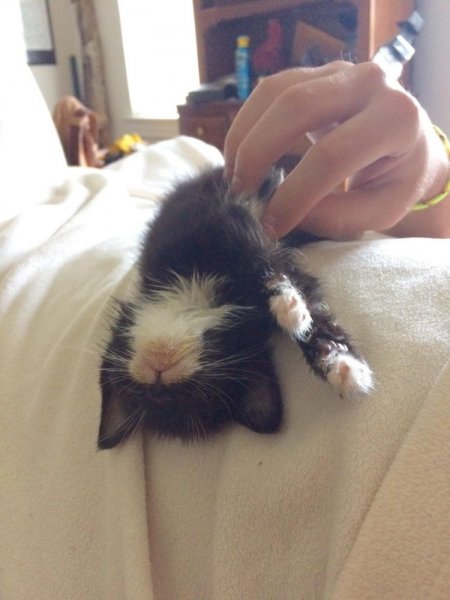 original.jpg#20189513598