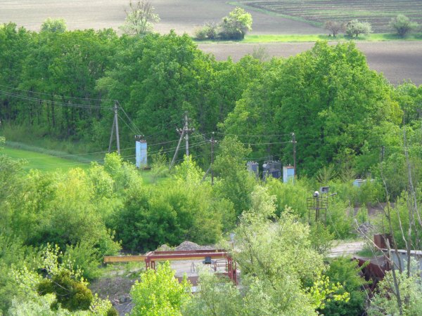 DSC03998