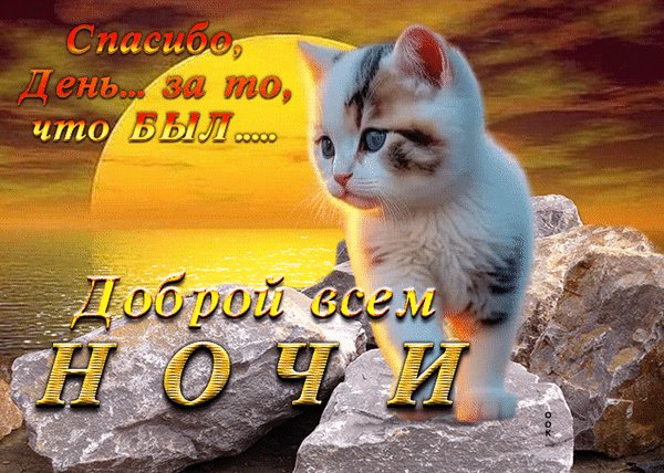 Анимированная открытка удачного дня (4)