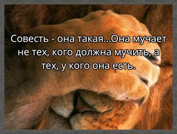 Совесть