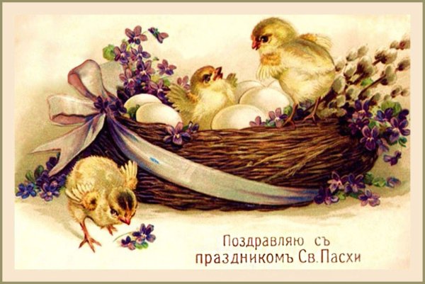 file_84185580