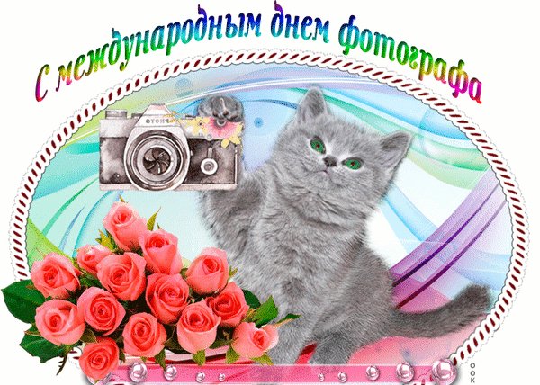 Анимированная открытка с международным