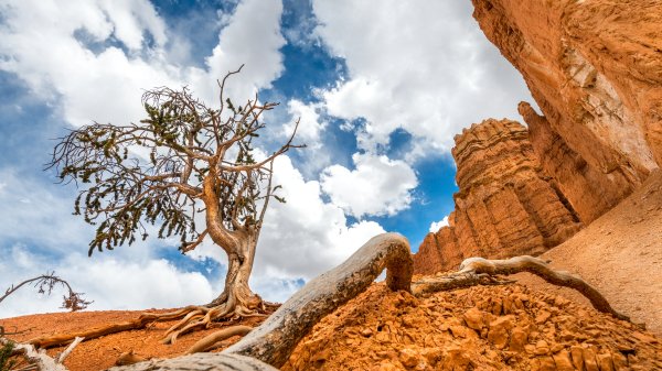 Desktop Wallpapers 4K Ultra HD177