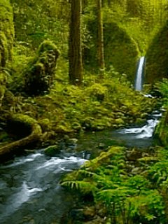 Nature водопад