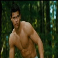 Собака в прыжке