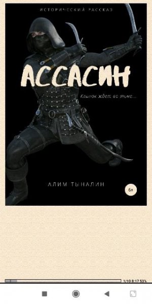 Алим Тыналин. Ассасин