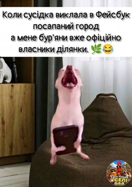 FB IMG 1780695146303