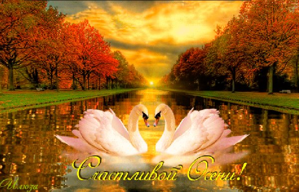 Cчастливой Осени!