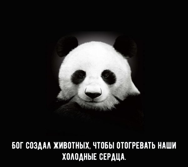 file_83264793