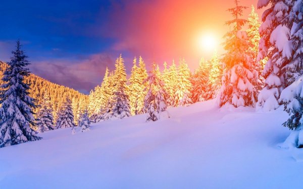 file_92606798