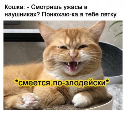 01-42-32-296848055.p.0.360.0