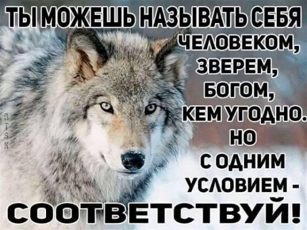 Соответствуй