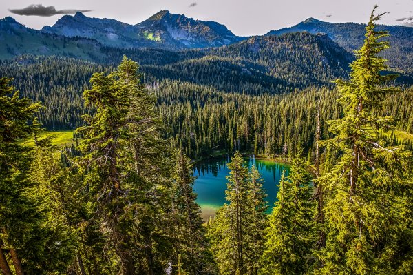 Canada Parks Lake Mountains Forests Scenery Mt. 528308 1920x1