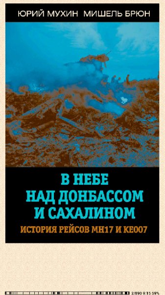 Ю.Мухин. История рейсов МН17 и КЕ007