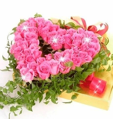 getImage (85)
