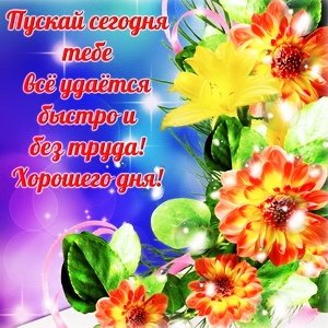IMG 20181115 163514