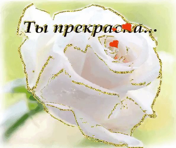 IMG 20241018 171706