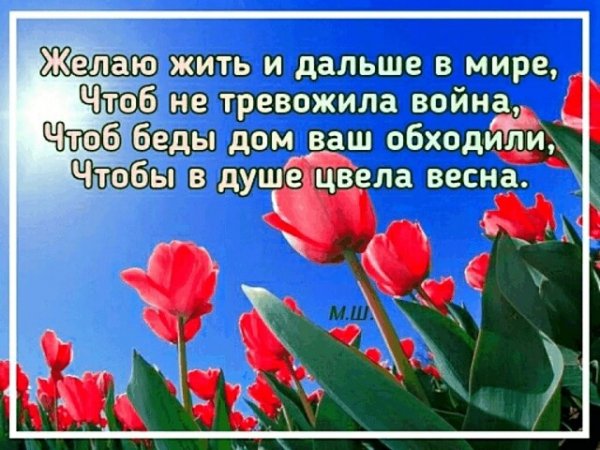 image (81)