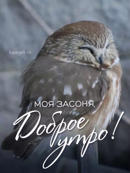 file_89503537