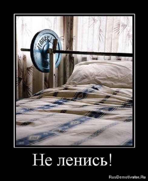 НЕ ЛЕНИСЬ!