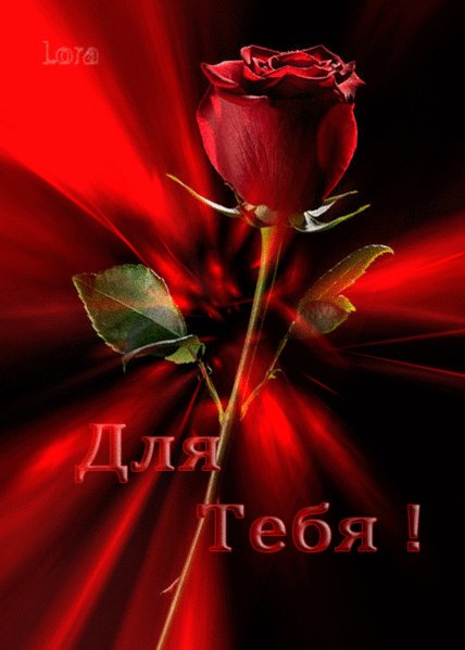 IMG 20160702 132903 0