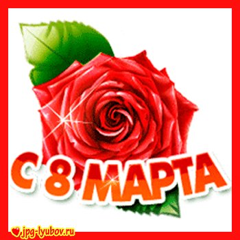 8 marta anim