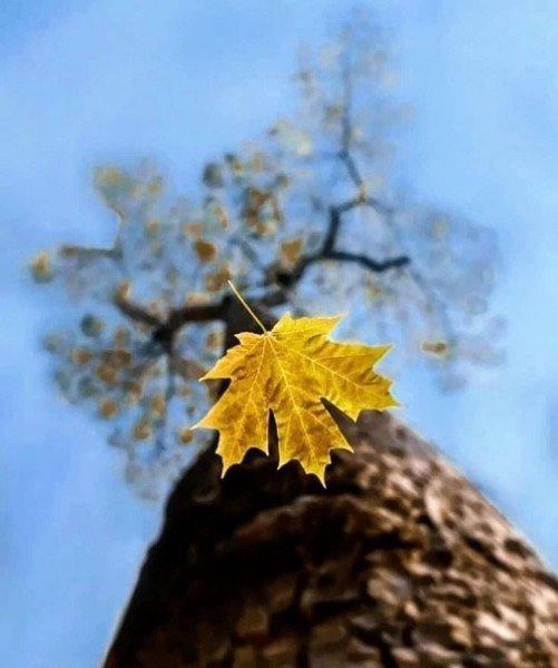 file_94983034