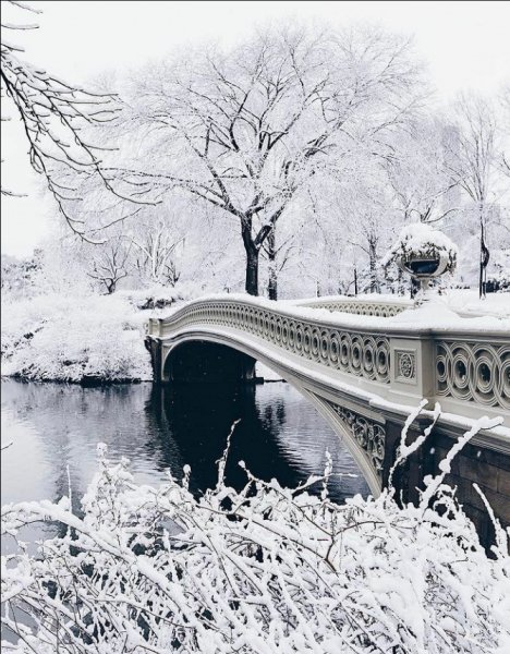 Screenshot 2021-10-12-23-38-46