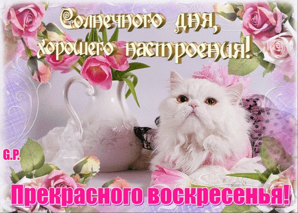 image:13841