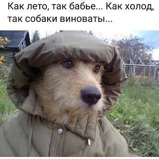 file_94942894