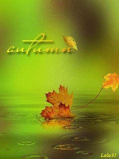 leaf-fall (laska)