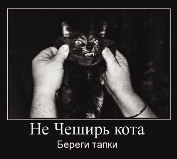 A23f0977eec25666c7ff2c5e30c2a7e6