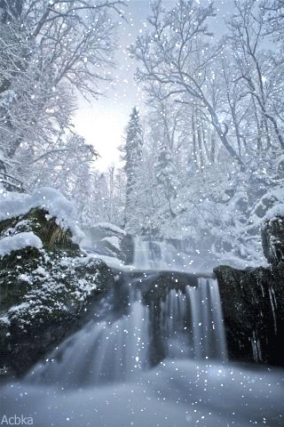 file_76358709