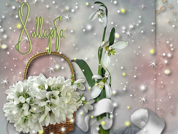 image (69)