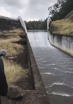 gifs 10