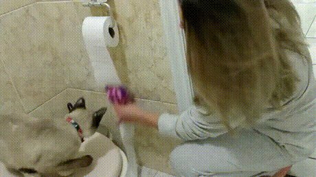 Урок)