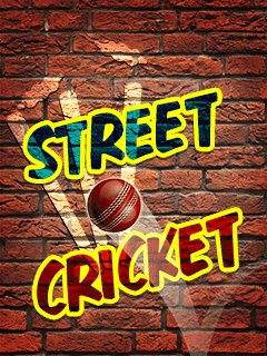 StreetCricket