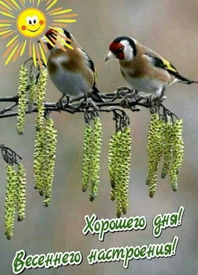file_93304786