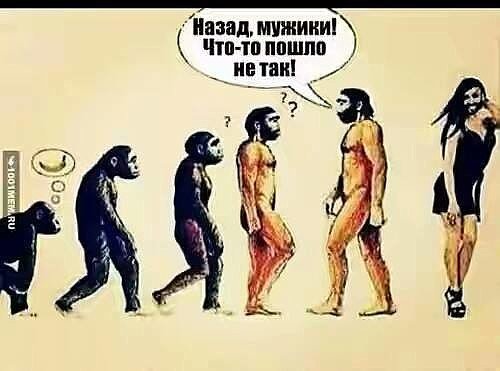 что-то пошло не так