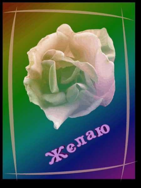 РозаПожелания