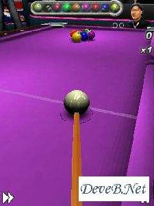 3DWorldChampionshipPool2010 176x220