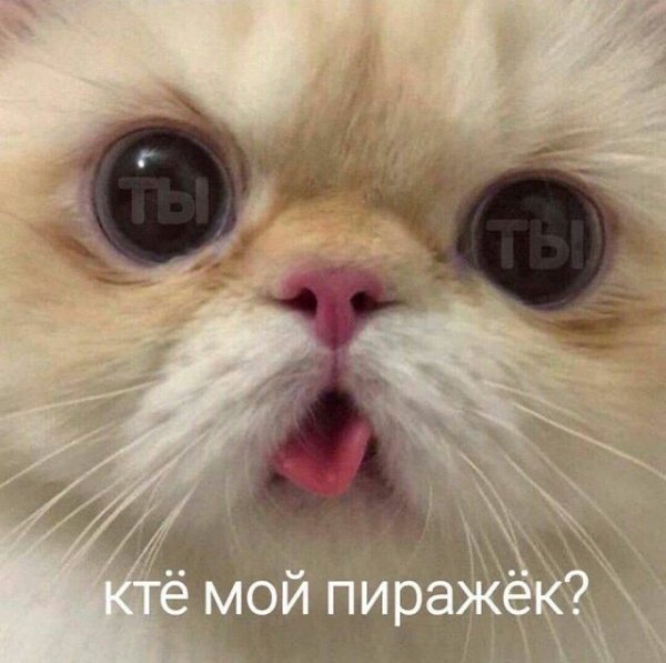 IMG 20200904 111049 240