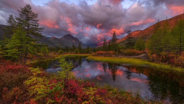file_91709543
