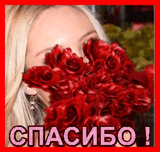 IMG 20170907 074258 0