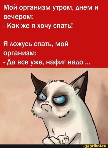 c278e04d9b635510cd8f396a1a26786214f5c5 1