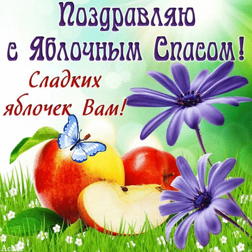 file_91259014