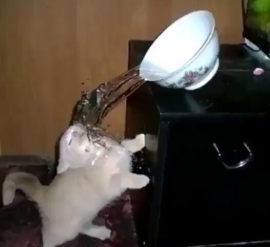 IMG 20220716 165010 765