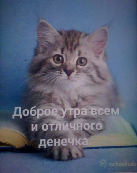 IMG 20190202 064024 209