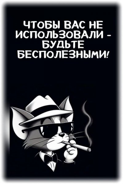 FB IMG 1749958090351