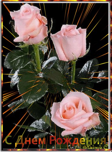 анимированная открытка с днем рождения-3